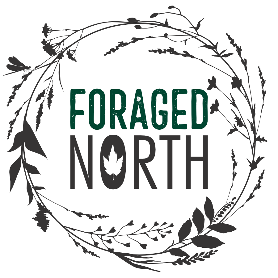 Foraged North