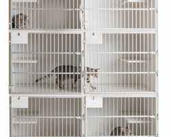 Screenshot-2024-10-18-081952