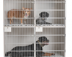 Screenshot-2024-10-18-082040